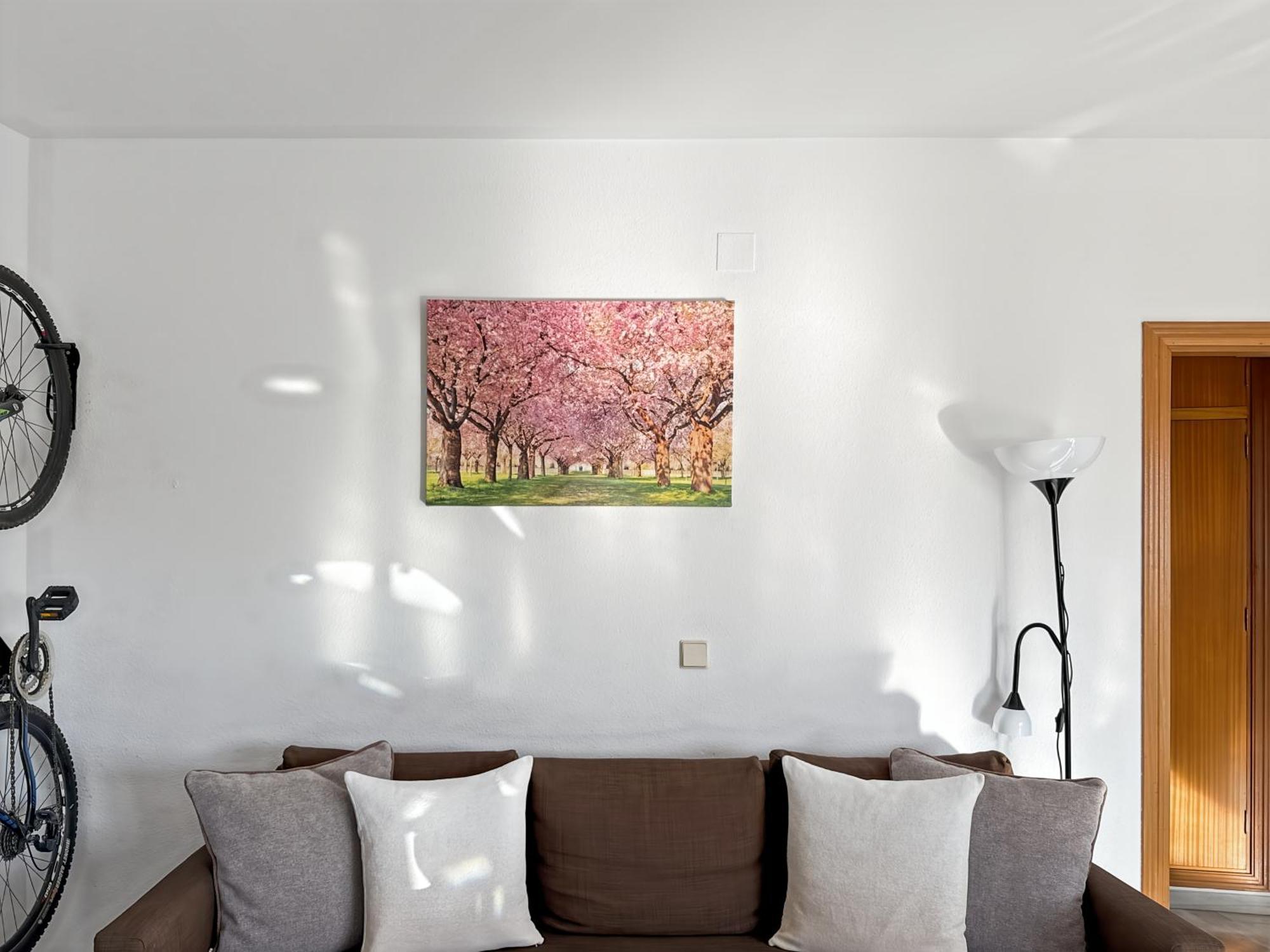 Exclusive Malaga Apartments With Cathedral Views And Auto Check-In Εξωτερικό φωτογραφία